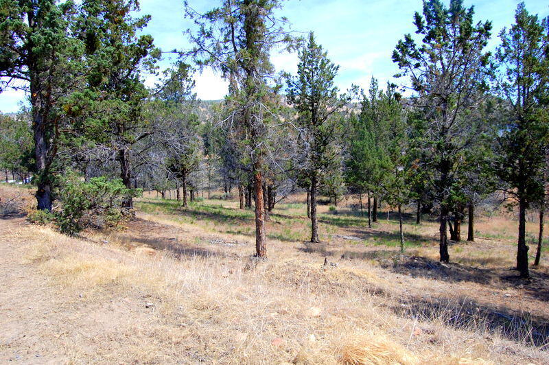 Golden Horseshoe - Land