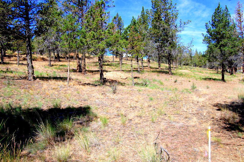 Golden Horseshoe - Land