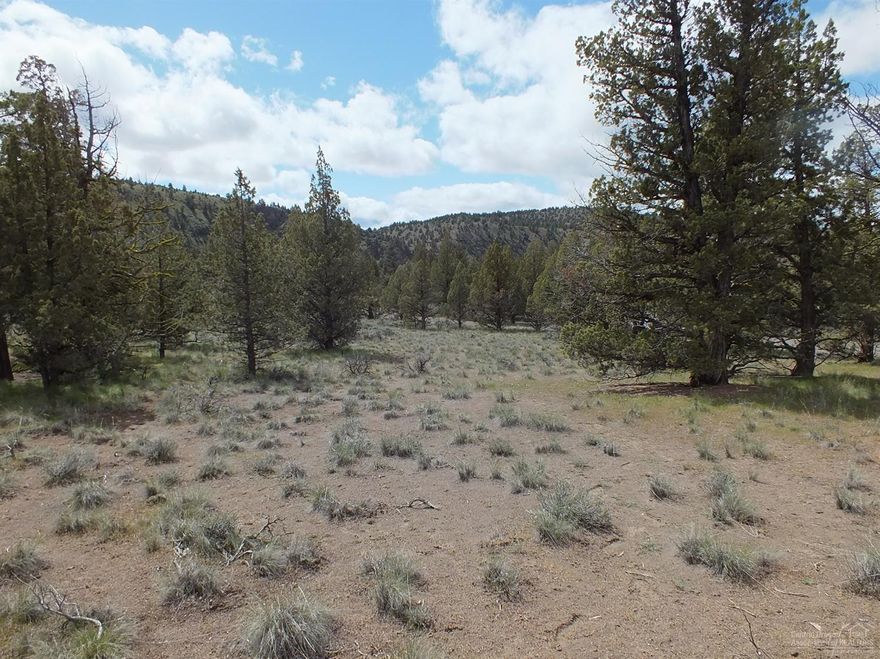 A beautiful property in an area of shallow well depths. This property has plenty of room for your horses and is next to public land for miles and miles of trails to ride. Crooked River Ranch has a golf course that people rave about in addition to the tennis courts, swimming pool, pickle ball and some of the best fishing around!