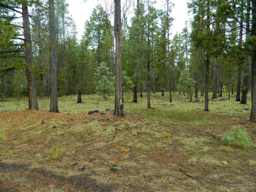 Perfect recreational lot to bring your family to while enjoying the outdoors in Central Oregon! This half acre lot is situated close to the Deschutes River and just minutes to multiple lakes and Mt Bachelor. This is not a build-able lot but it makes for a great getaway retreat from the hustle and bustle of the city life!
