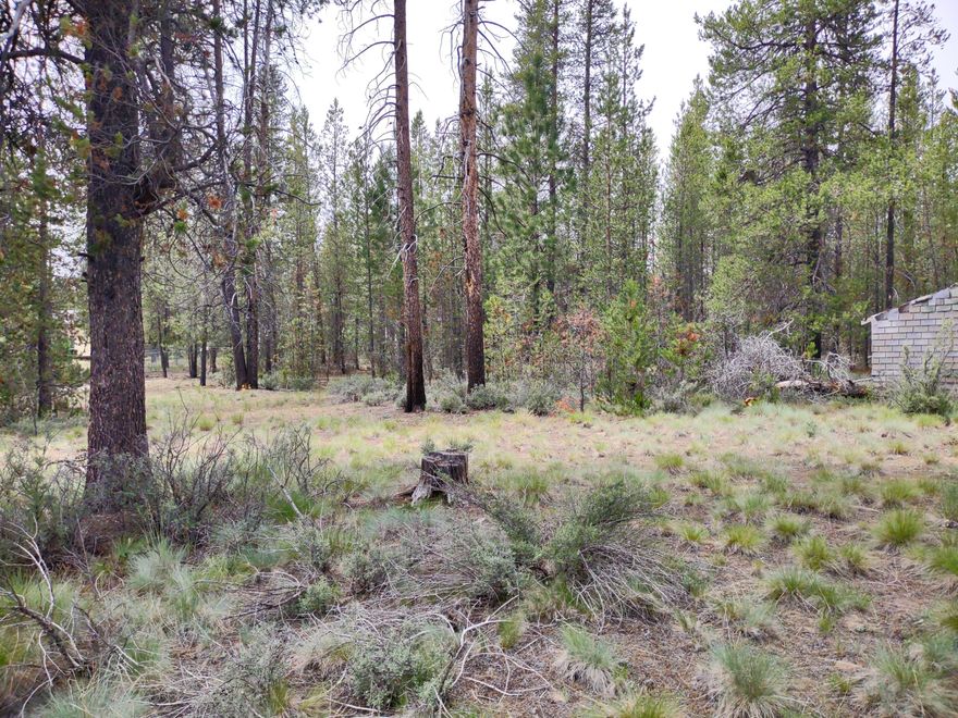 Escape to your own slice of Central Oregon with this peaceful 1.21-acre property in La Pine. No HOA, just freedom to build your perfect retreat or permanent residence. Power is nearby for easy development, and a small shed & storage trailer on site offers immediate storage. A recent boundary survey has been completed for peace of mind. The property just East is also for sale, if you desire more space. Whether you're looking to build or simply get away from it all, this is a great place to begin making memories. Close to endless outdoor recreation, fishing, lakes, trails, and all the fun La Pine offers.