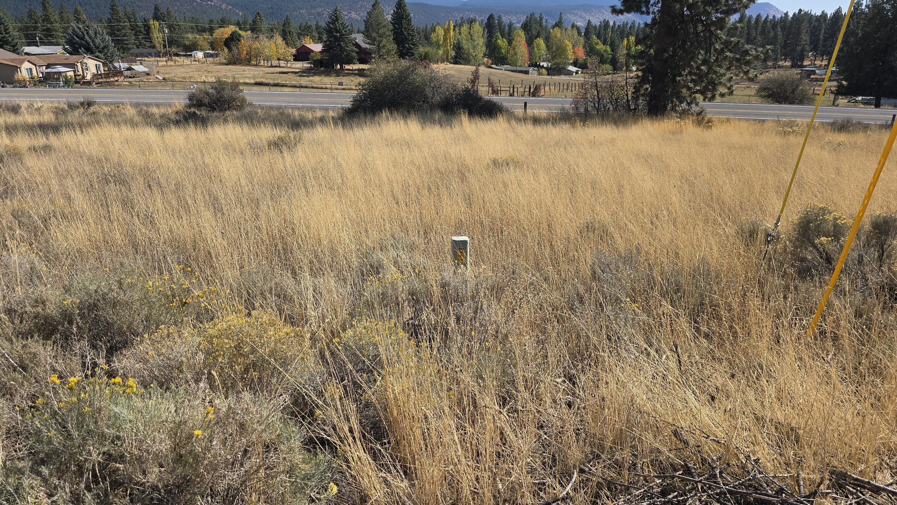 Oregon Shores - Land