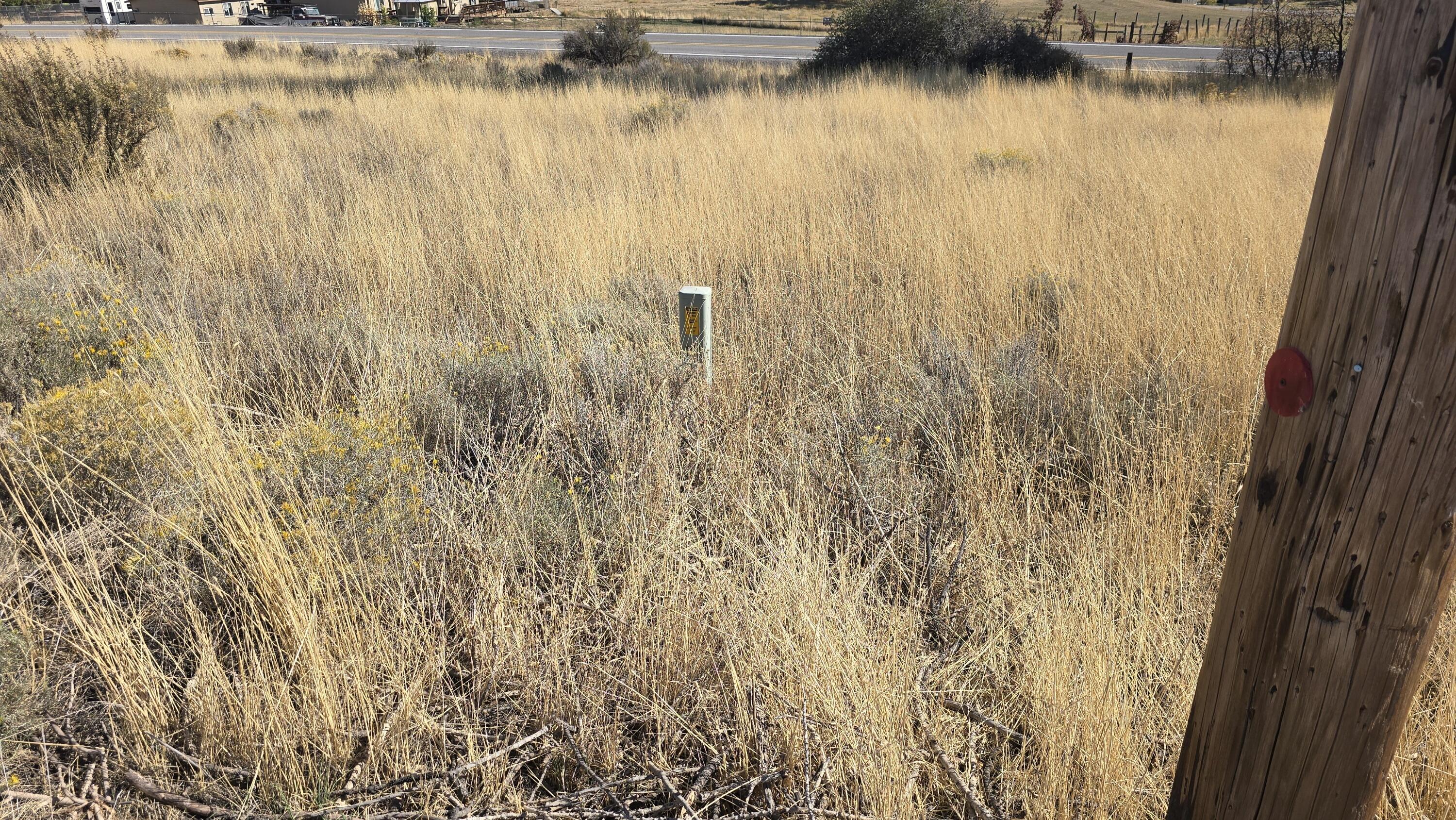 Oregon Shores - Land