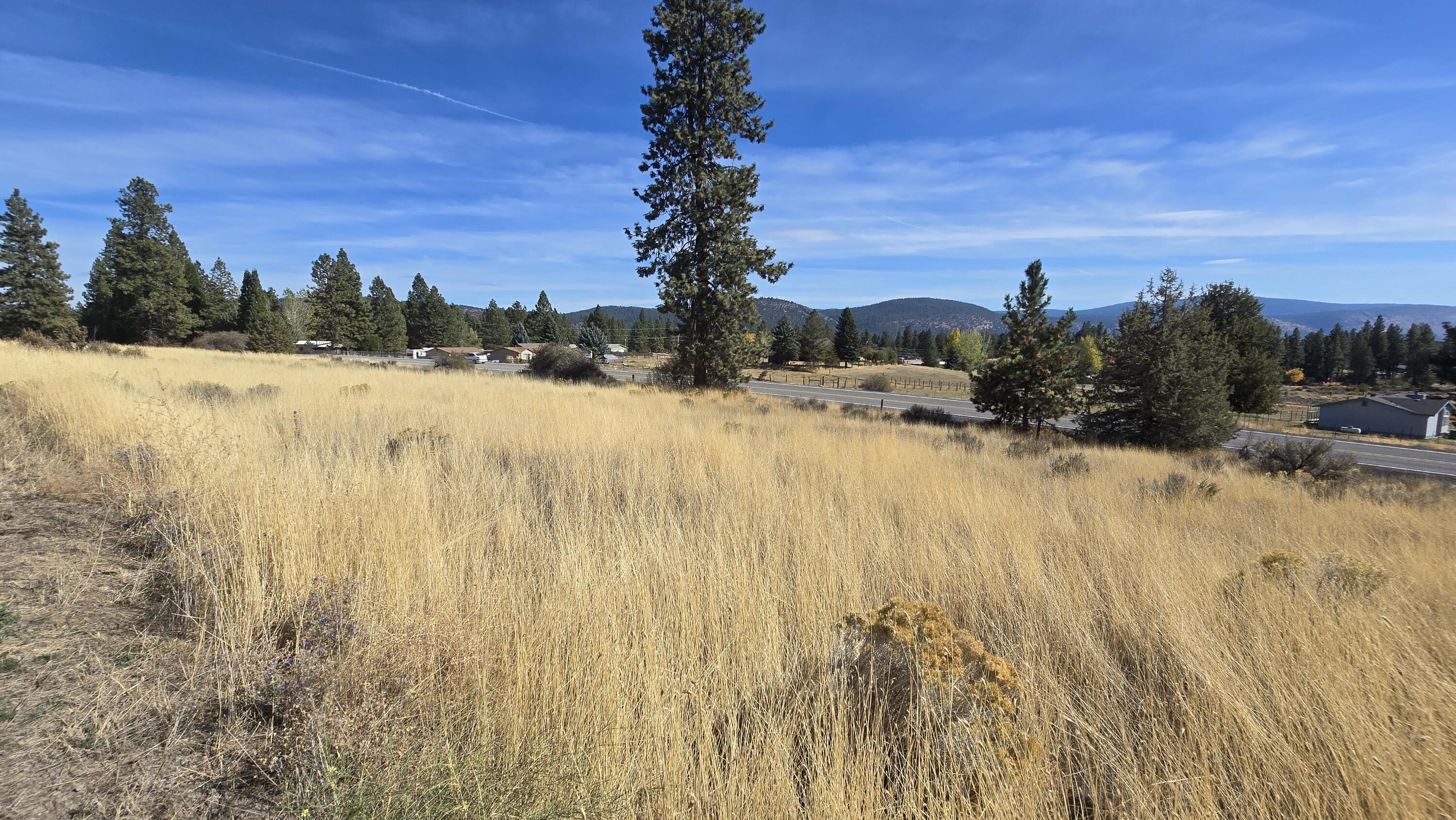 Oregon Shores - Land