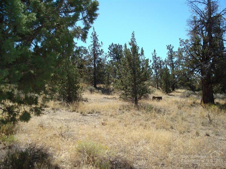 Lake Park Estate - Land