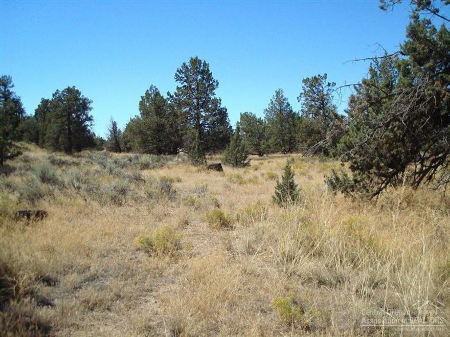 Nice buildable 4.6 acre parcel close to town. Just off a paved road. Nice homes on both sides of this property. Lots of trees and some Cascade views. Great value. Good fencing on one side of property. Needs a well and septic.