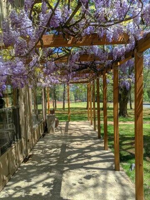 Tiny photo for 6651 Westside, Cave Junction, OR 97523 (MLS # 220214846)