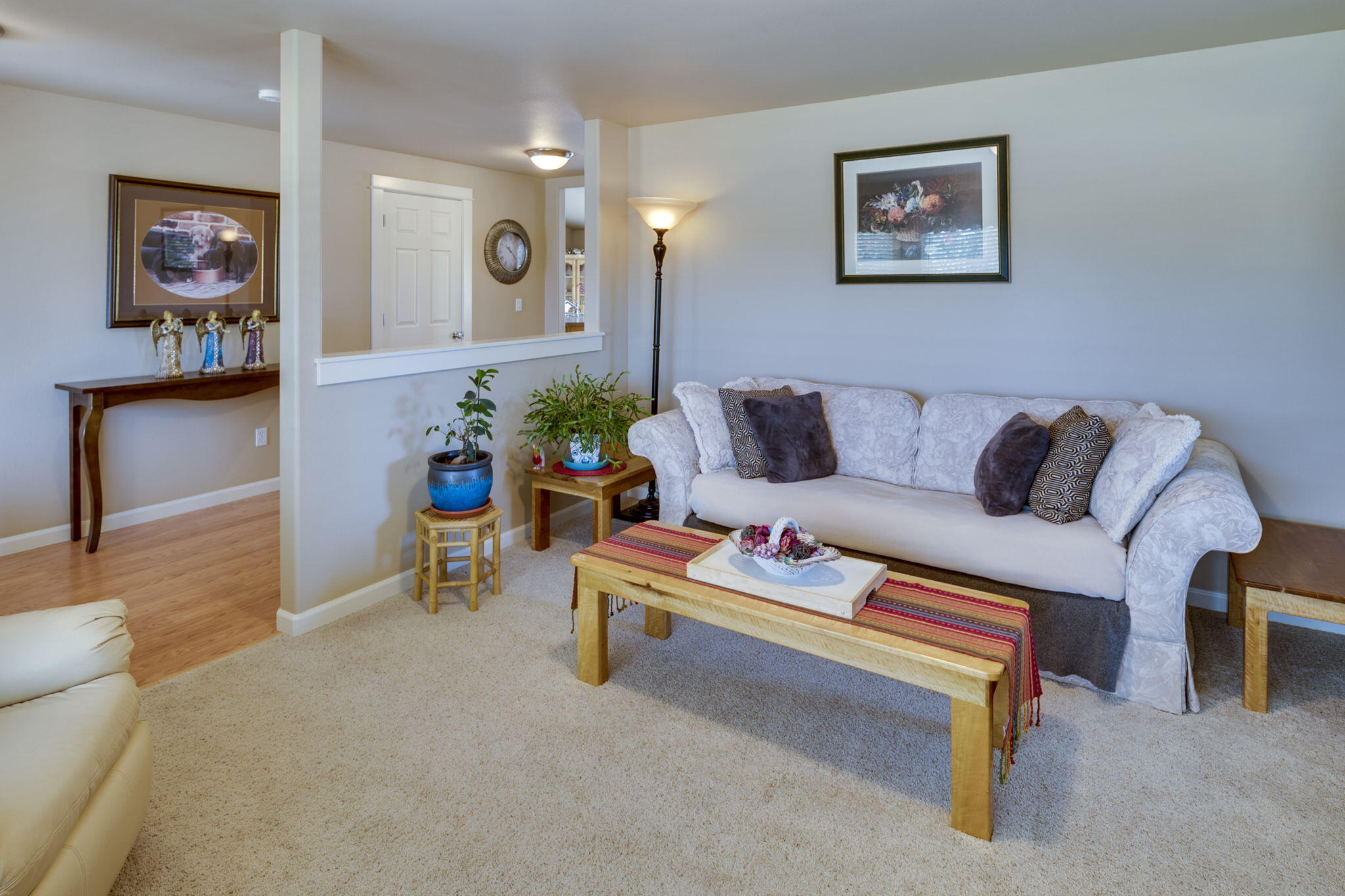 Dry Creek Airpark - Residential