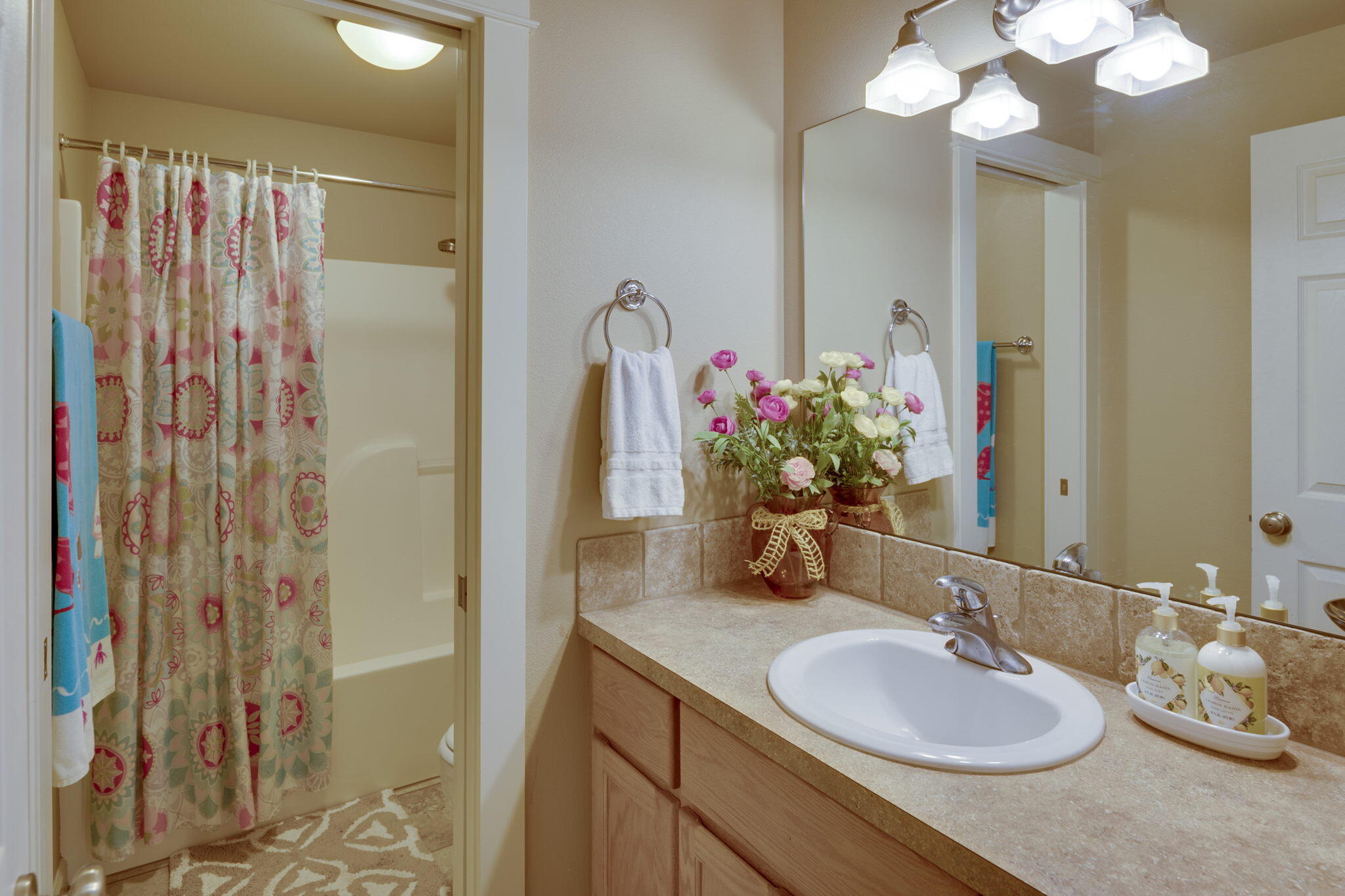 Dry Creek Airpark - Residential