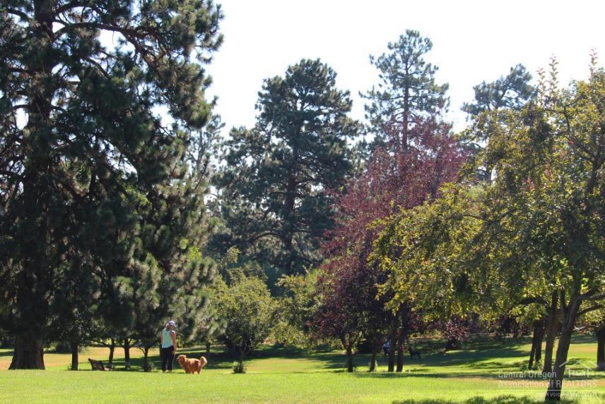 Meadowview Estate - Residential