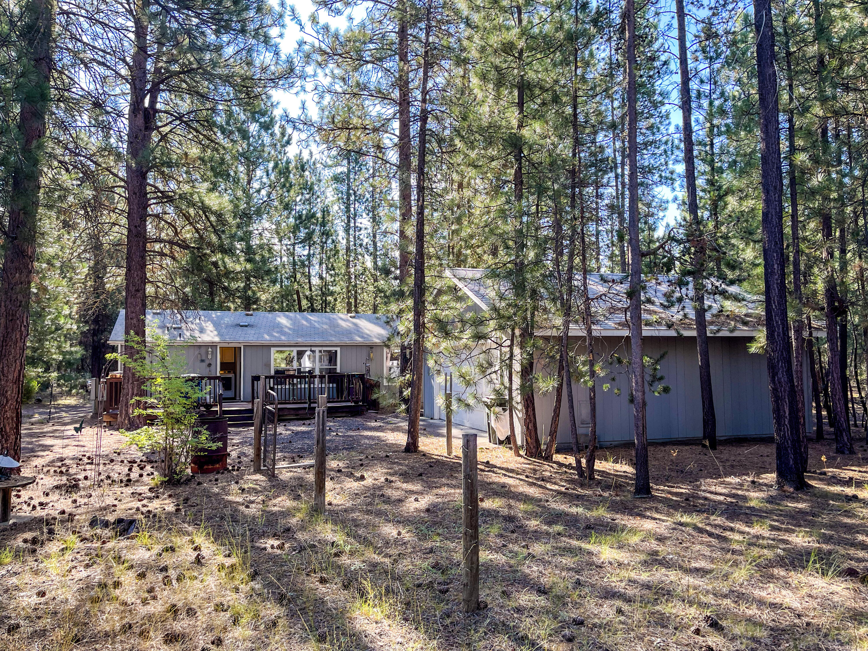 Ponderosa Pines - Residential