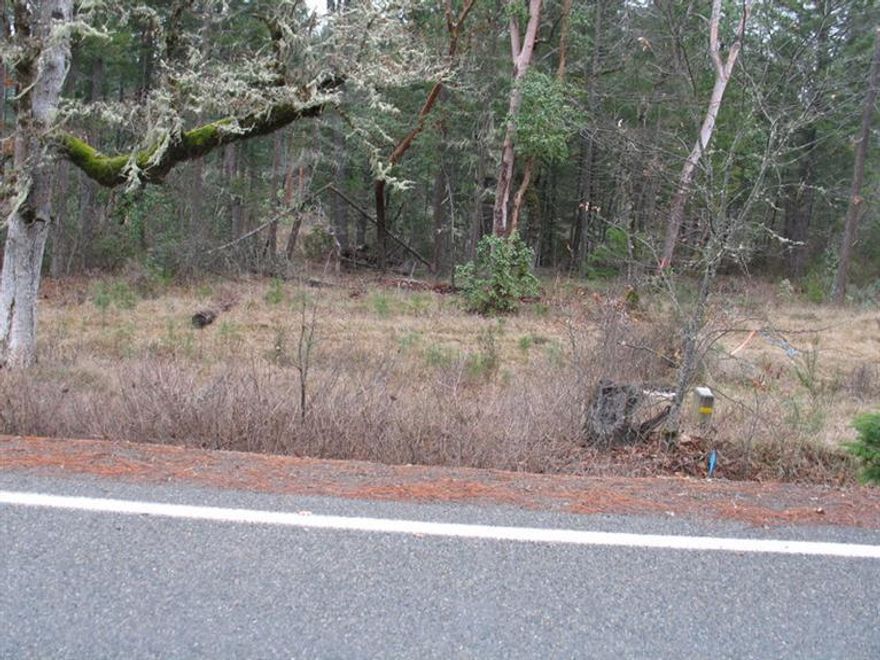 Nice level residential lot in the town of Cave Junction on city water and sewer.