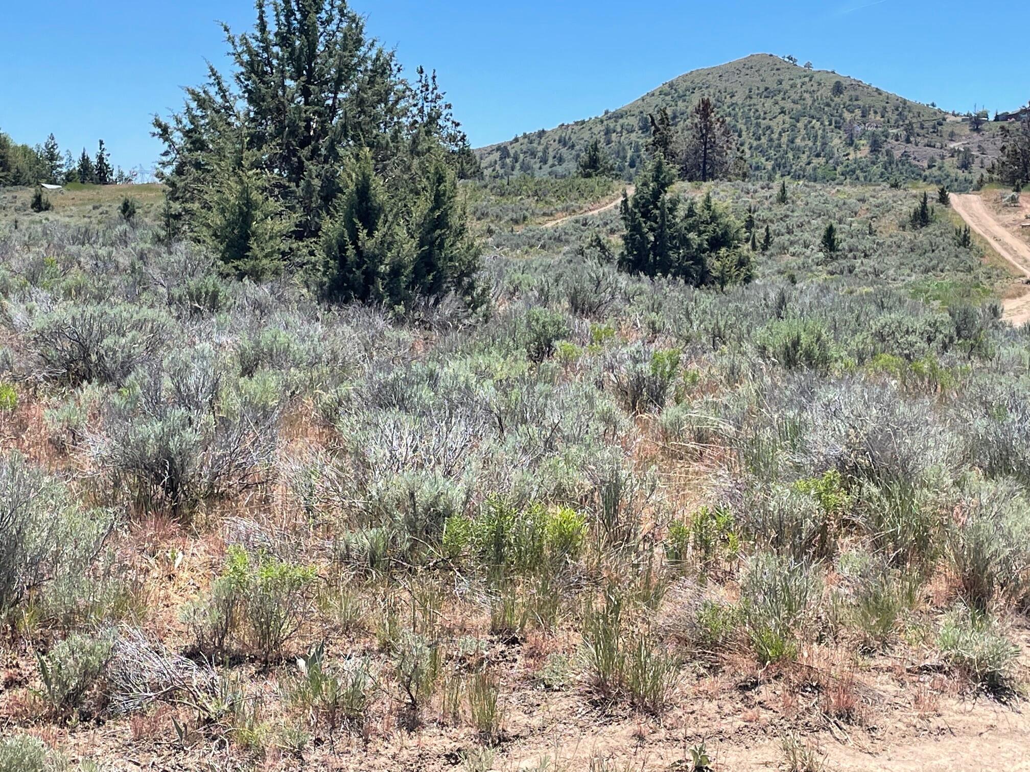 0 Cregan Street Lot 147-162