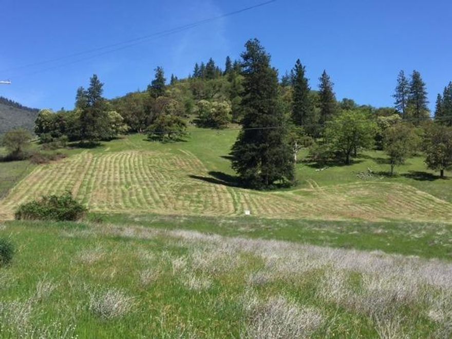 Outstanding private rural view property with a newly drilled 8 GPM well.This wonderful property includes a large open meadow leading up to the partially treed portion of the property at the top of the hill. The extra large home-site envelope is located to take advantage of the unobstructed views to the South and West. Located approx. half way between the communities of Applegate and and Ruch. There is plenty of meadow area for a couple animals and a large garden with full sun. Seller is a licensed Real estate broker in Oregon.