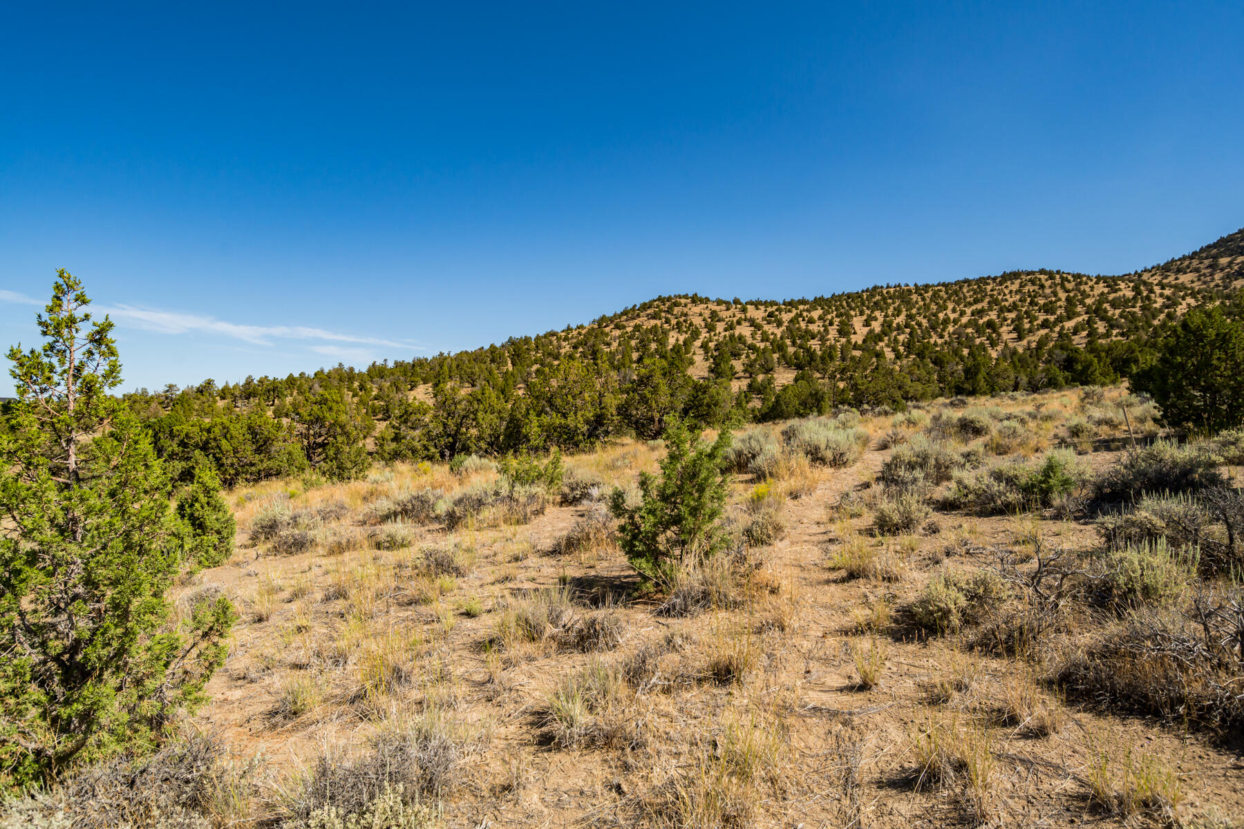Brasada Ranch - Land
