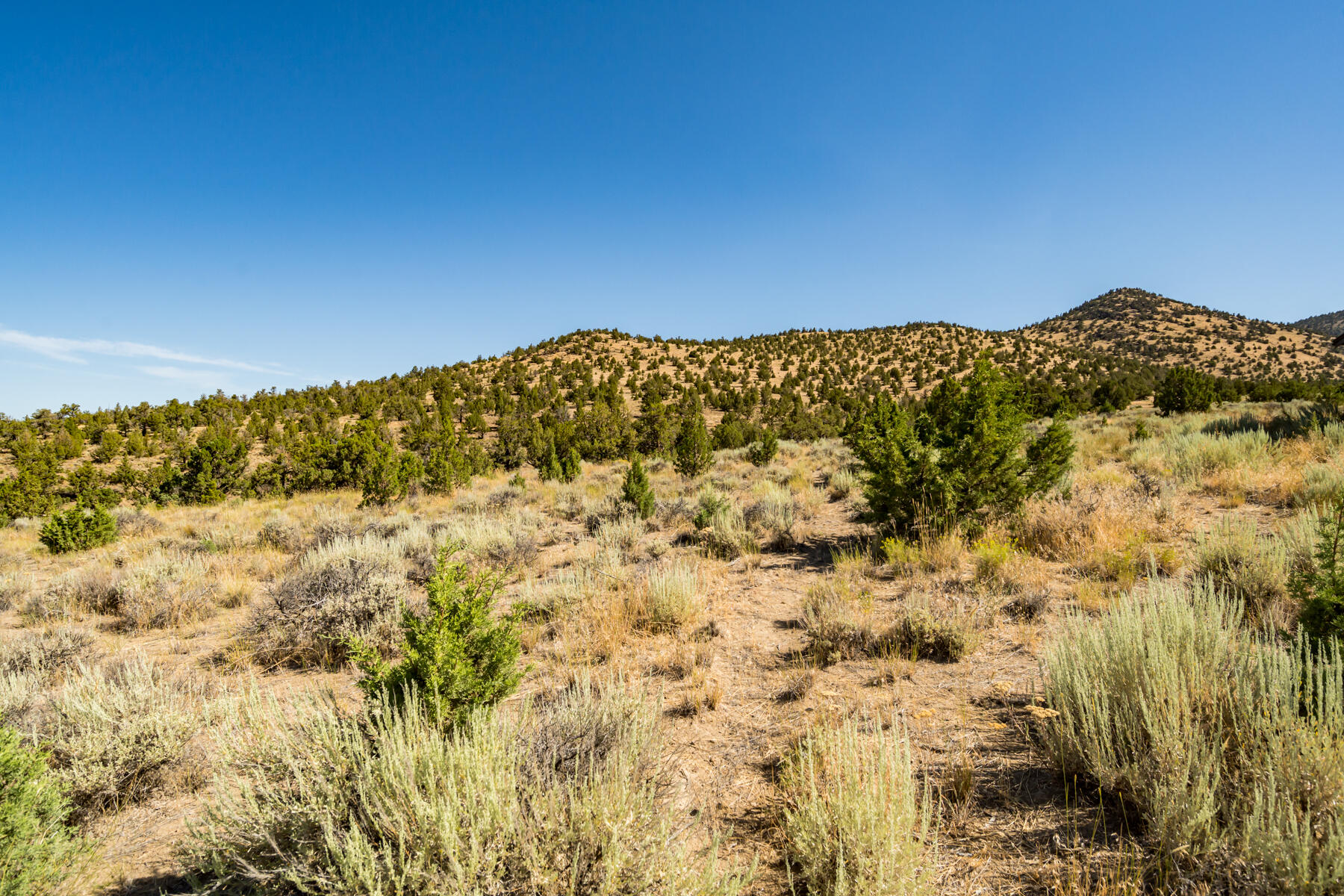 Brasada Ranch - Land