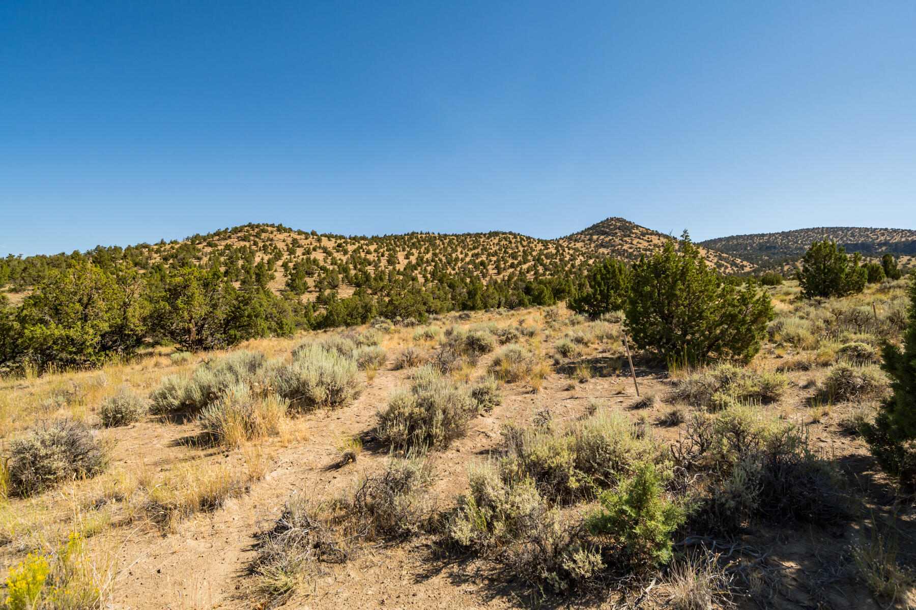 Brasada Ranch - Land