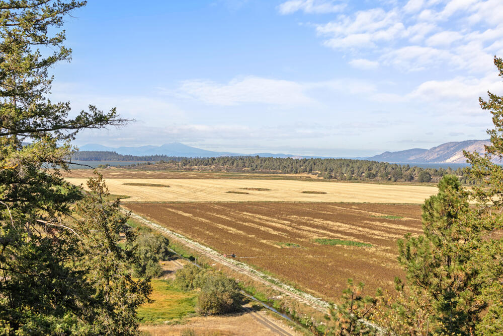 Running YResort - Residential