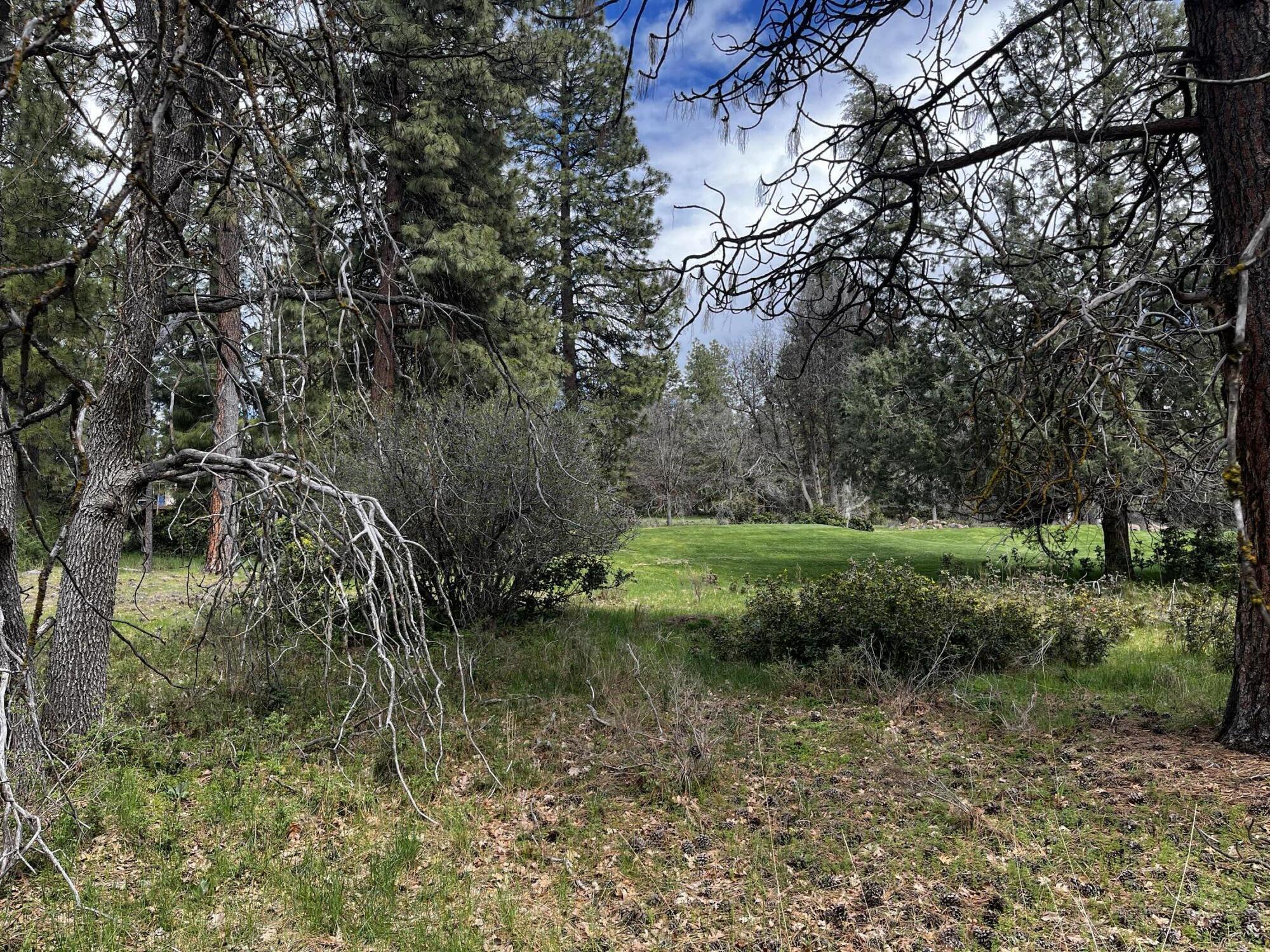 Running YResort - Land