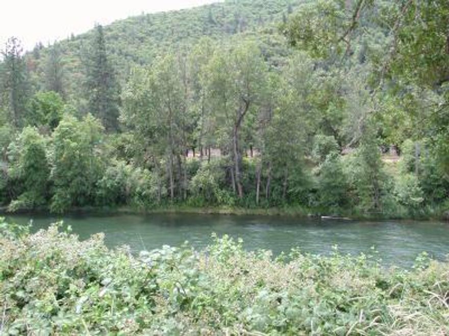 River lot with city services and paved access. Building lot available with Rogue River frontage in area of nice homes. Don't miss this opportunity to own access to the Rogue River. Large .37 acre lot with water, sewer, electricity, natural gas, and telephone available. Owner terms available.