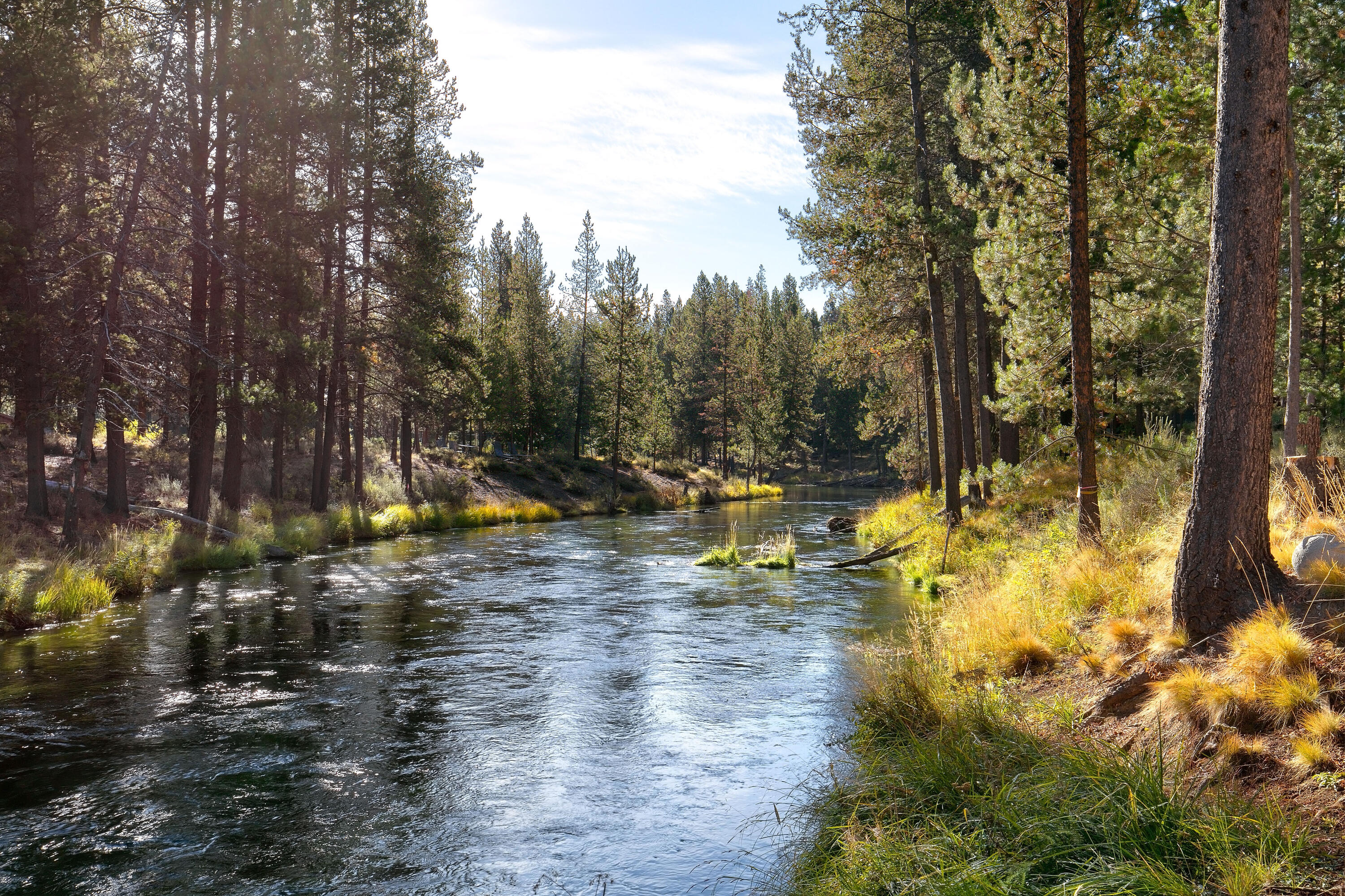 Fall River Estate - Residential