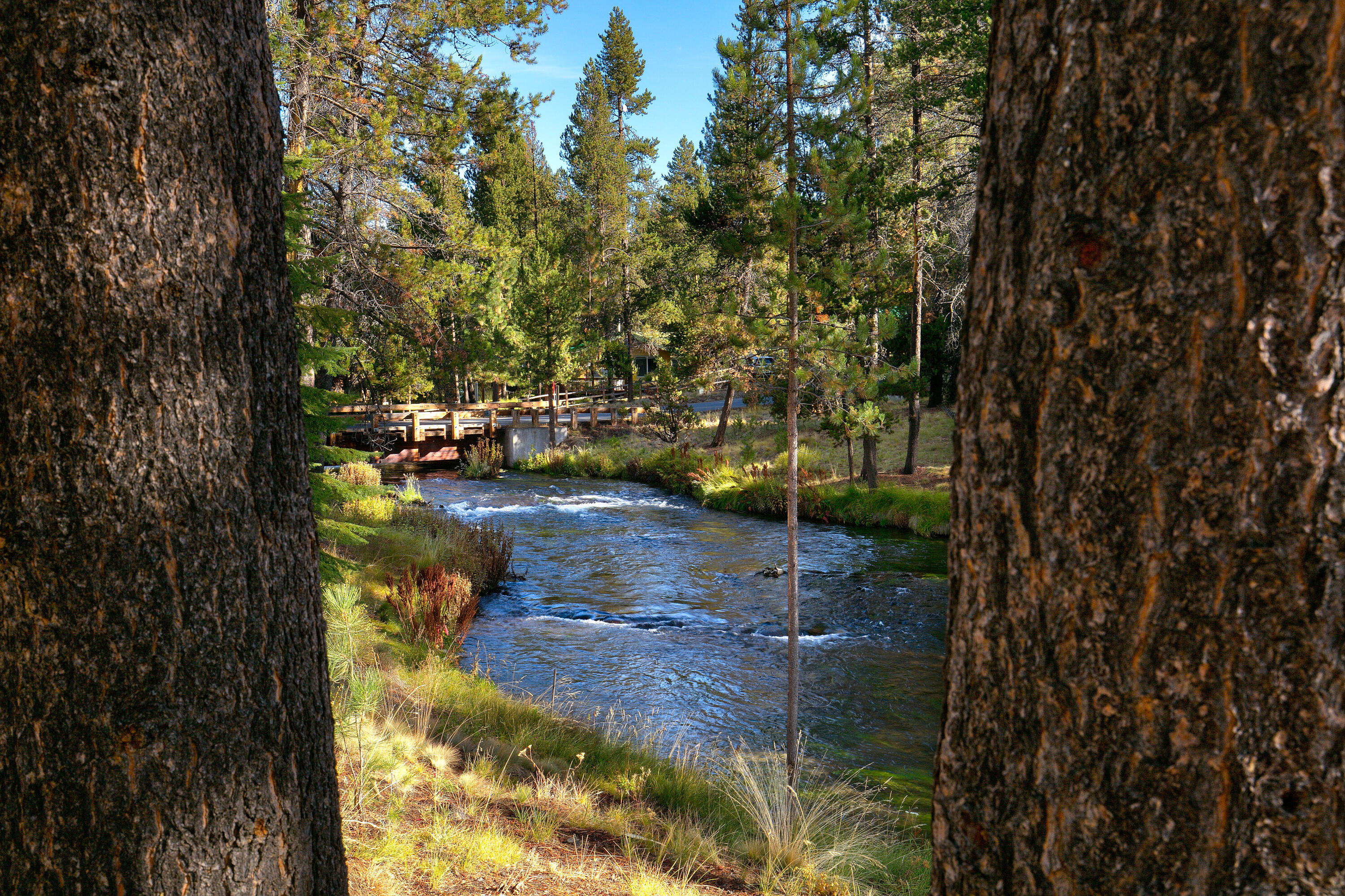 Fall River Estate - Residential