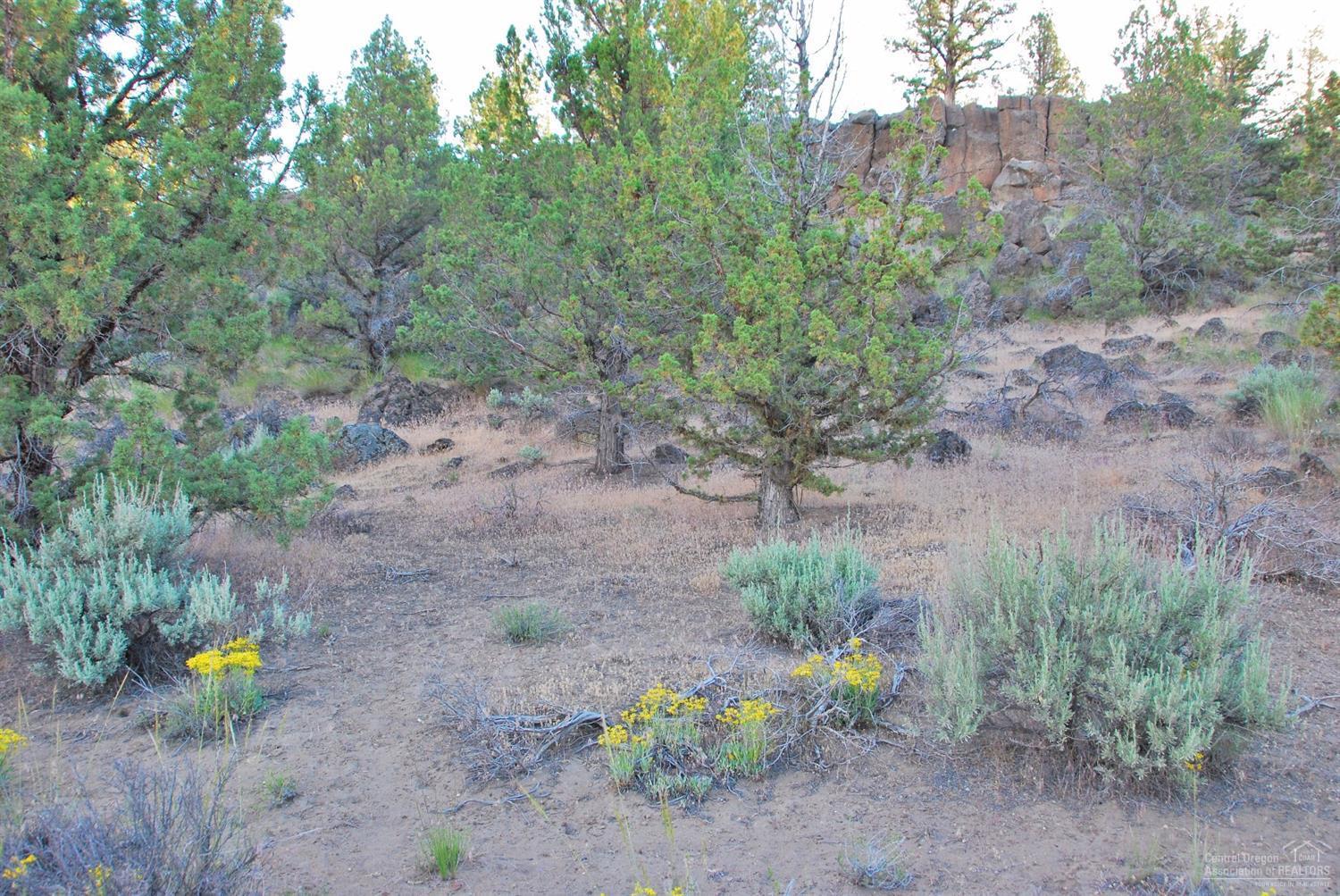 Crooked River Ranch - Land