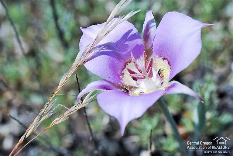 Crooked River Ranch - Land