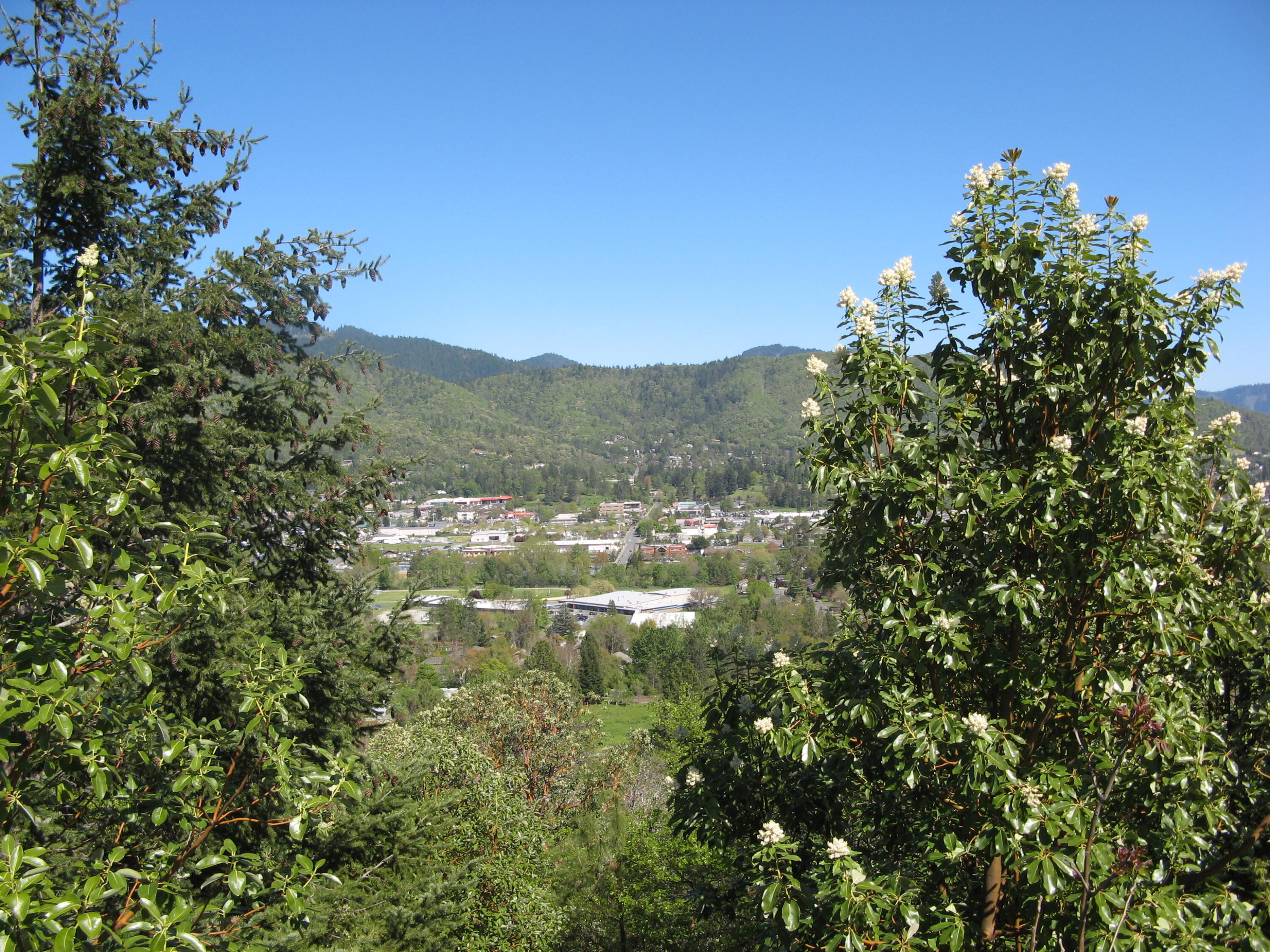 Laurelridge Subdivision - Land