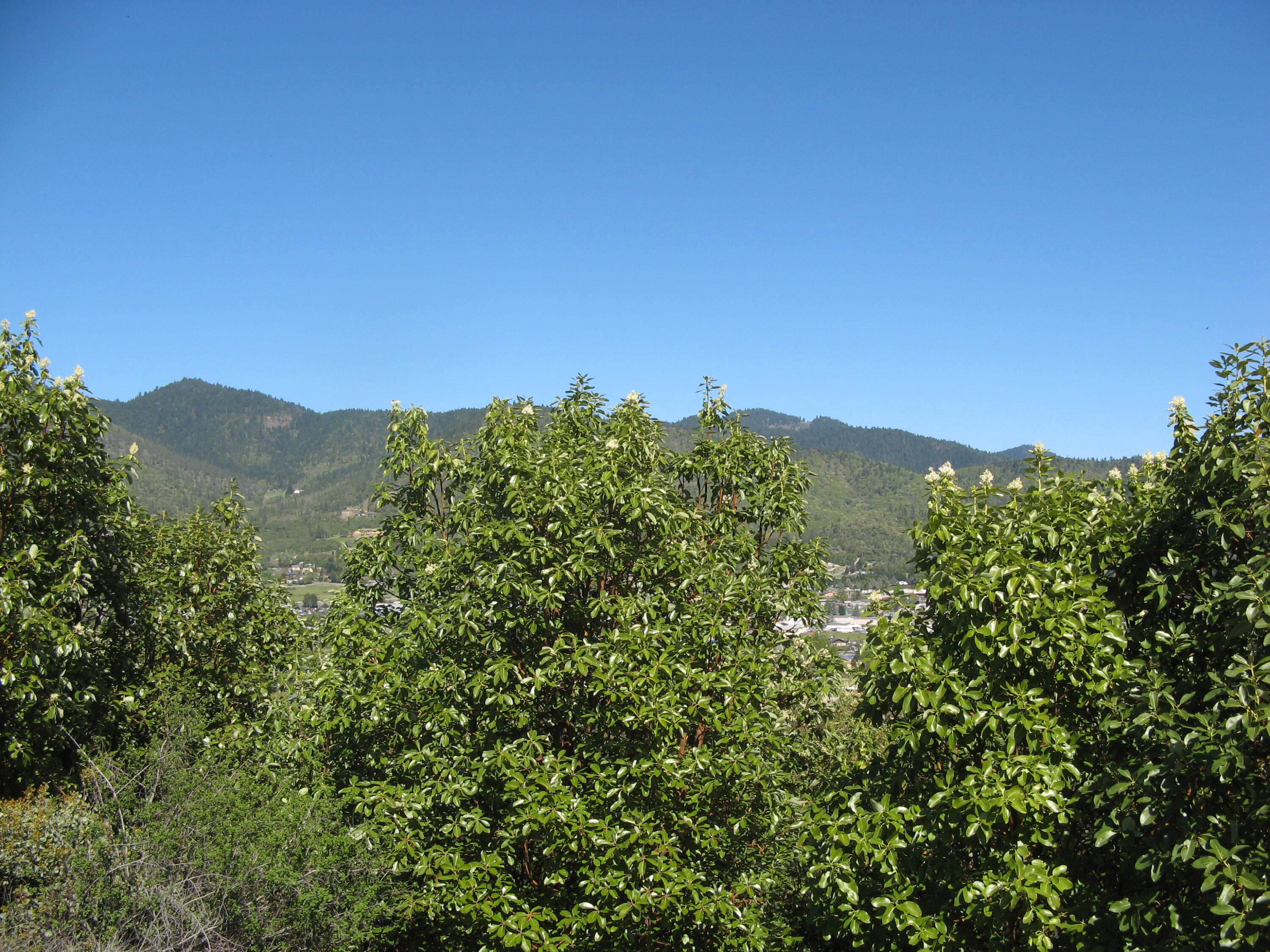 Laurelridge Subdivision - Land