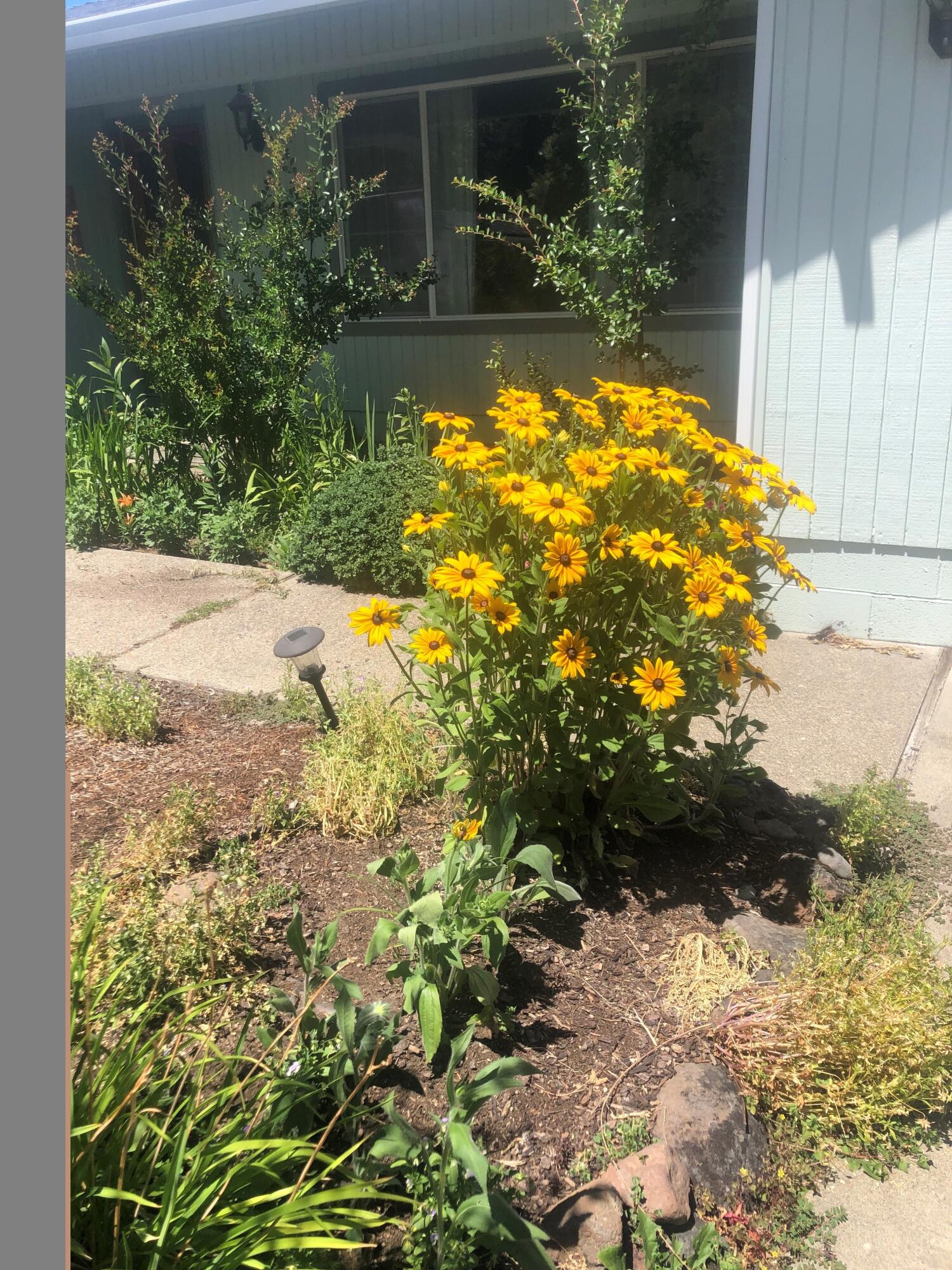 Flagstone Subdivision - Residential