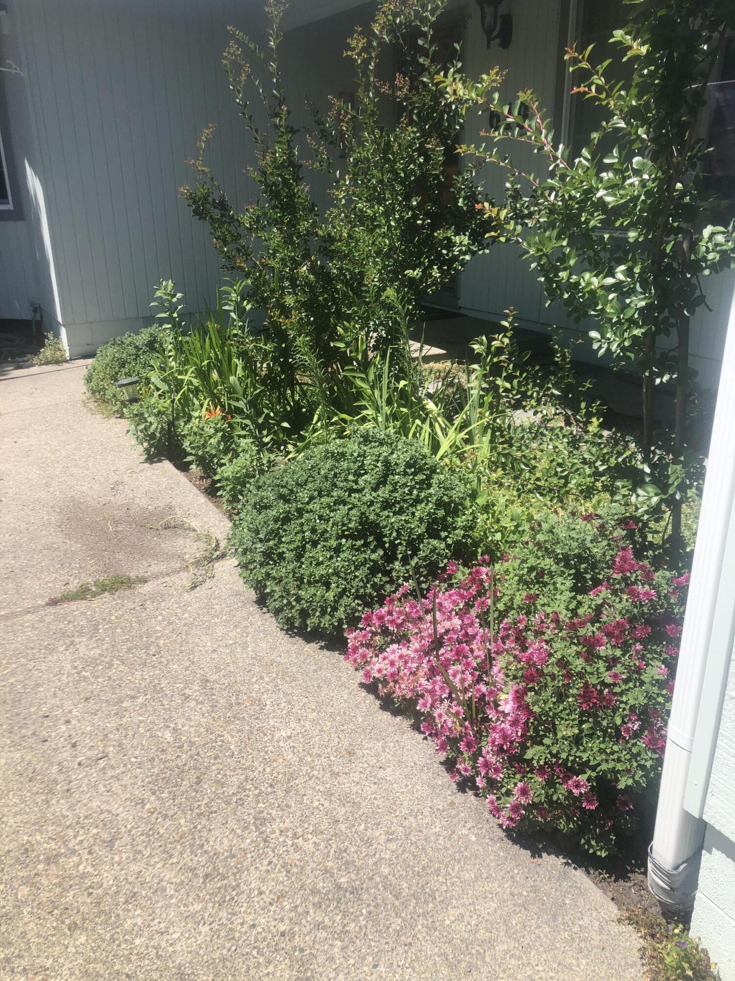 Flagstone Subdivision - Residential