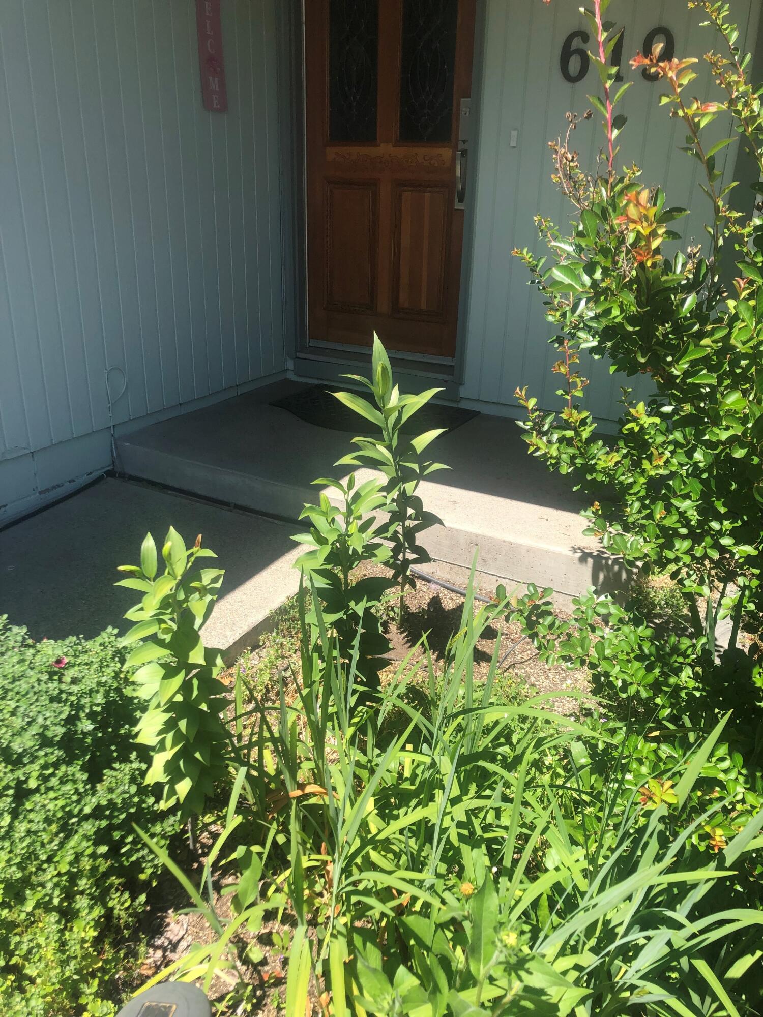 Flagstone Subdivision - Residential