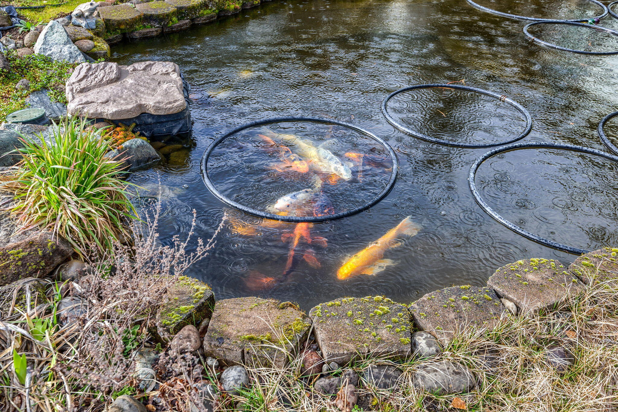 Flagstone Subdivision - Residential