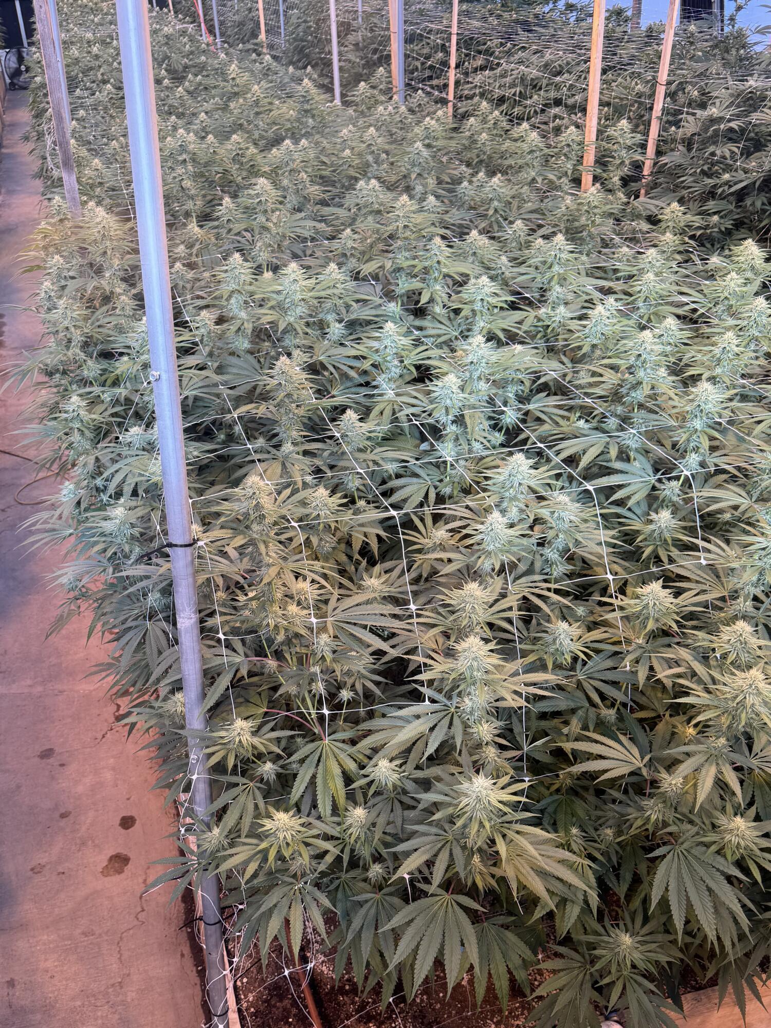 N/A - Commercial Sale