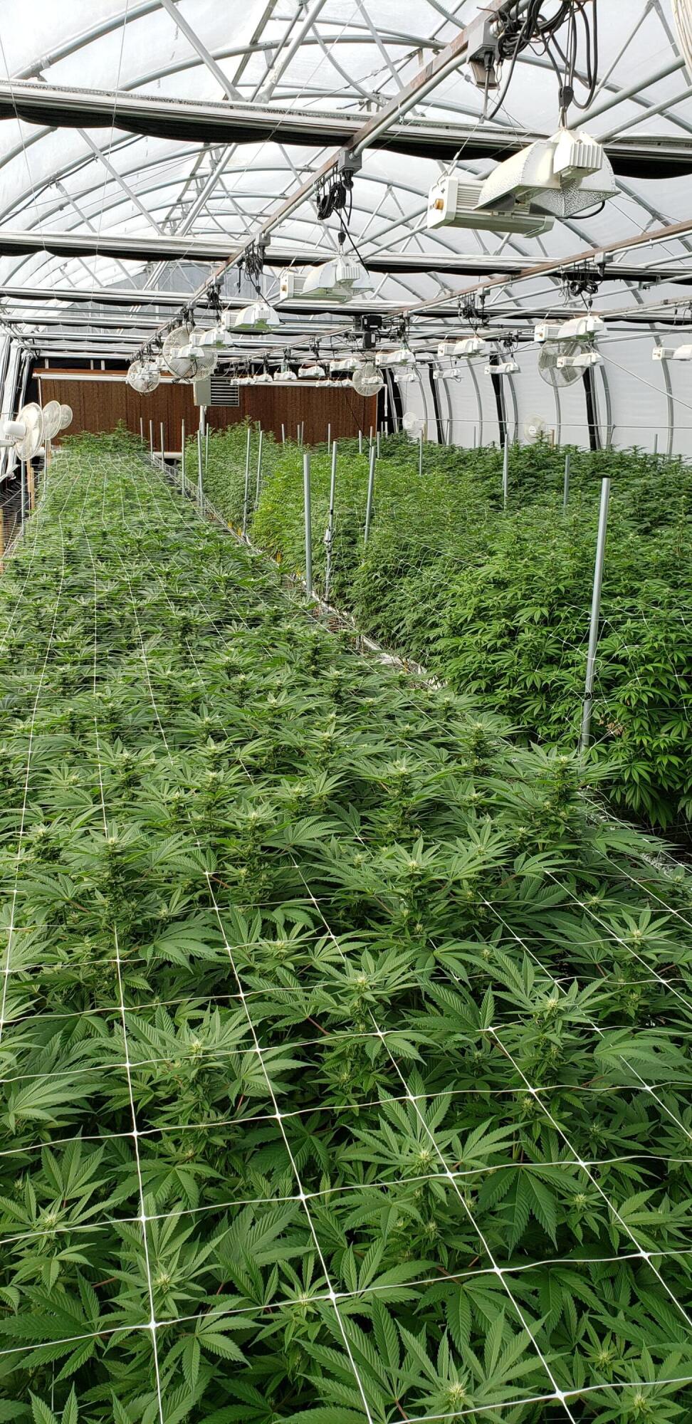 N/A - Commercial Sale