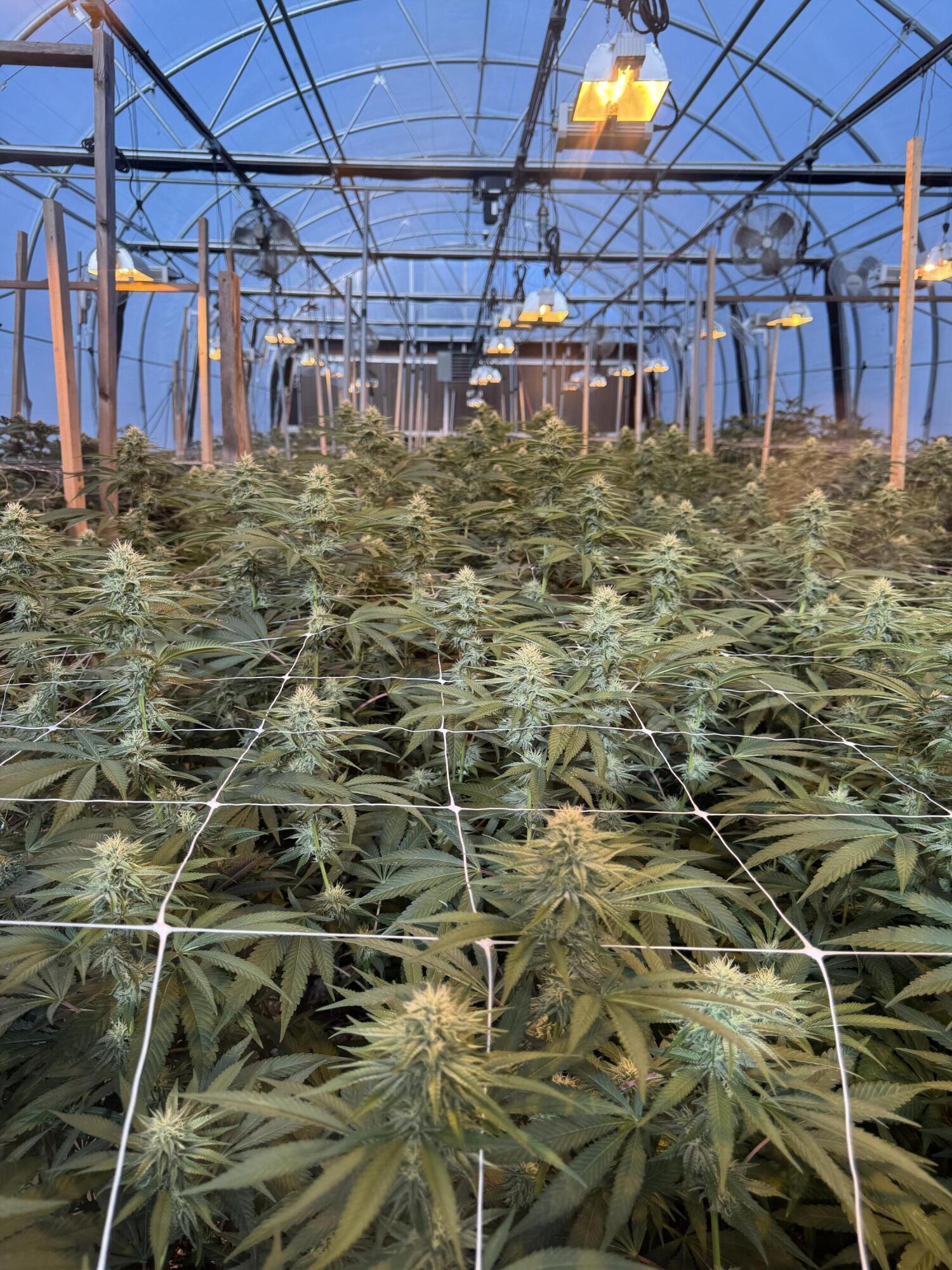 N/A - Commercial Sale