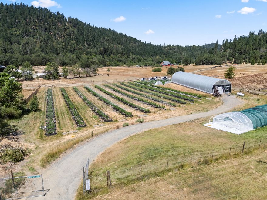 Turnkey OLCC Tier II Licensed Producer farm on 5.03 irrigated acres in the renowned Applegate Valley. Designed for efficiency and compliance, this property is ready to support large-scale cultivation or expand into diverse agricultural ventures. Infrastructure includes a 30'x96' climate-controlled greenhouse with raised beds, heating, HPS lighting, auto-curtains, and evaporative cooling; four light-dep greenhouses; a 24'x24' nursery barn; and two insulated 24'x40' shops with mini-splits and commercial dehumidifiers. Outdoor operations feature 250 irrigated 400-gallon smart pots, supported by 400-amp farm power on a dedicated meter and reliable spring irrigation. The flat, level layout and thoughtful site design make for seamless production. Situated minutes from Grants Pass and wineries in the Applegate Valley, this rare property offers a complete foundation for a thriving agricultural business in Southern Oregon.