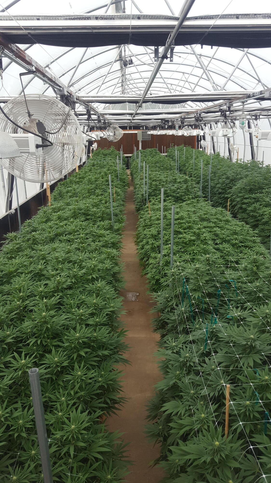 N/A - Commercial Sale