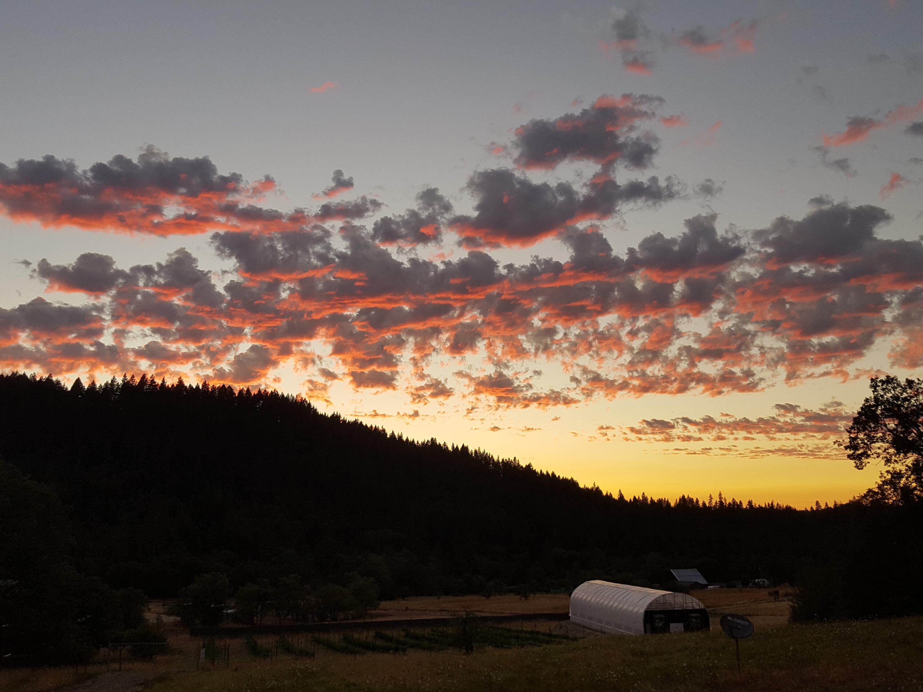 N/A - Commercial Sale