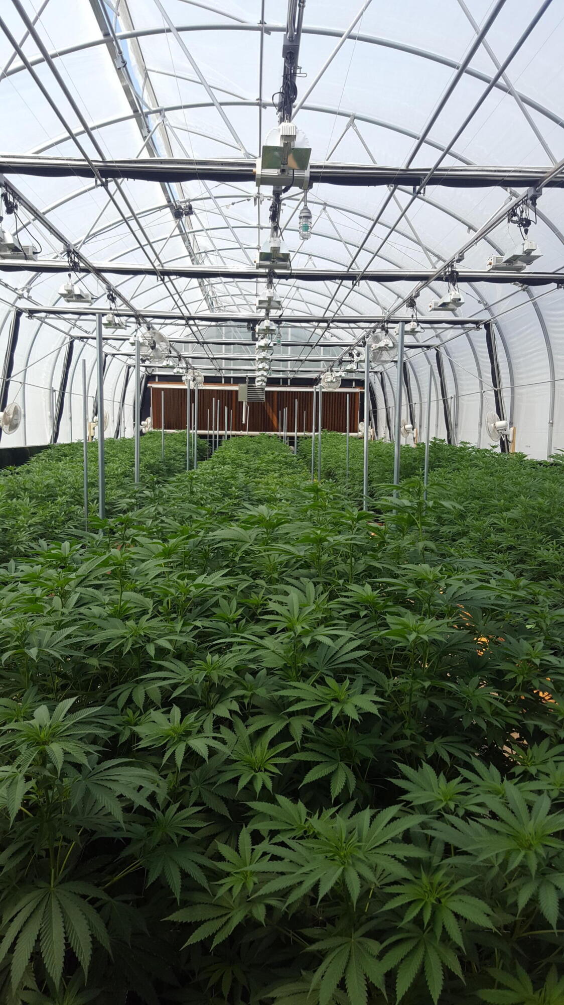 N/A - Commercial Sale