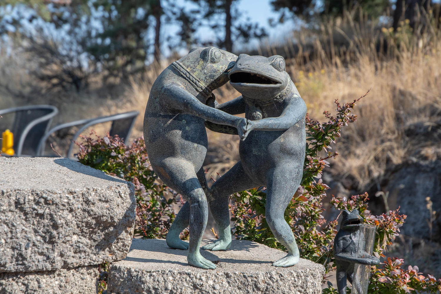 Vista Ridge - Residential