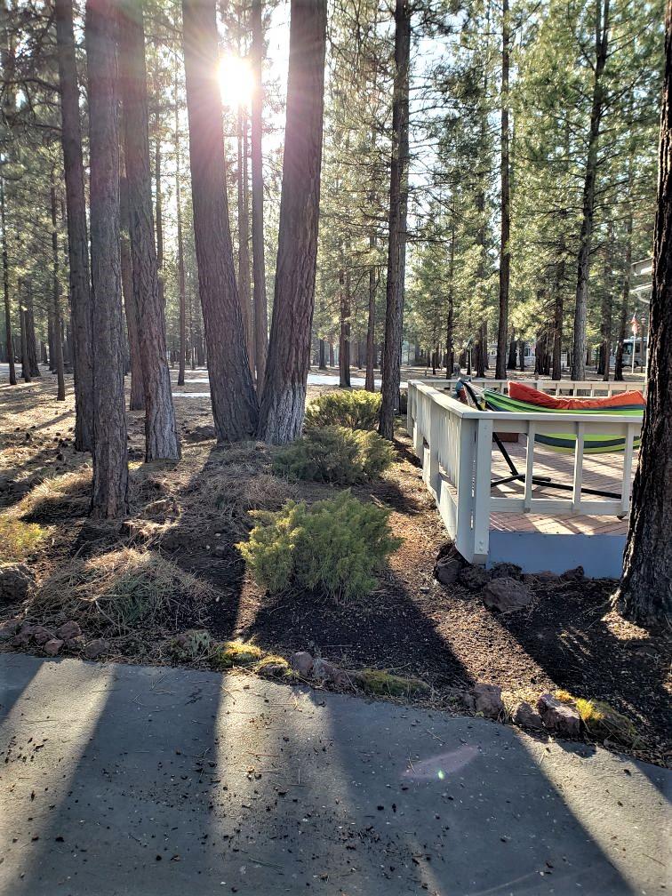 Ponderosa Pines - Residential