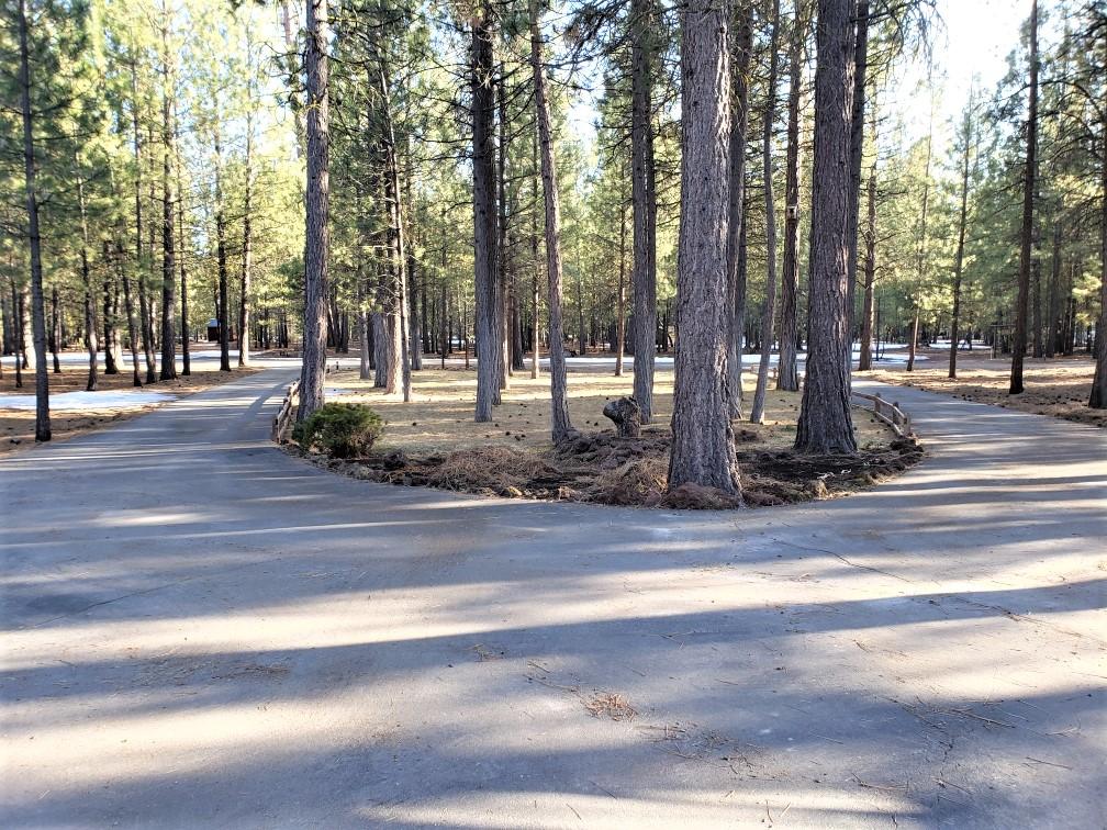 Ponderosa Pines - Residential