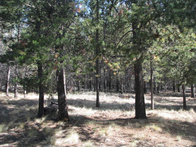 Anderson Acres - Land