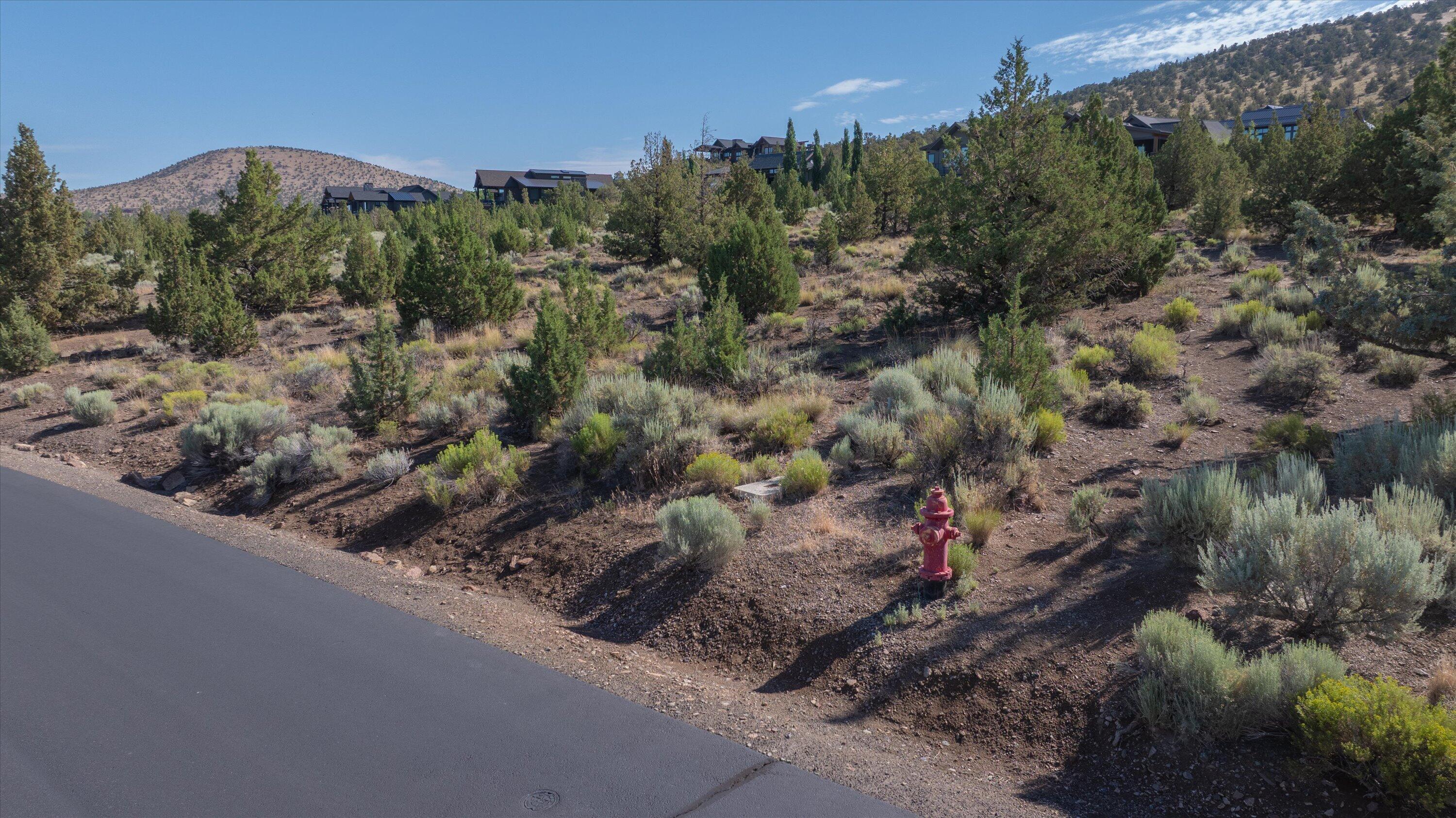 15696 SW Hope Vista Drive Lot 548