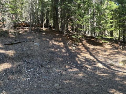 Tiny photo for 24176 Crescent Lake Road, Crescent Lake, OR 97733 (MLS # 220219299)