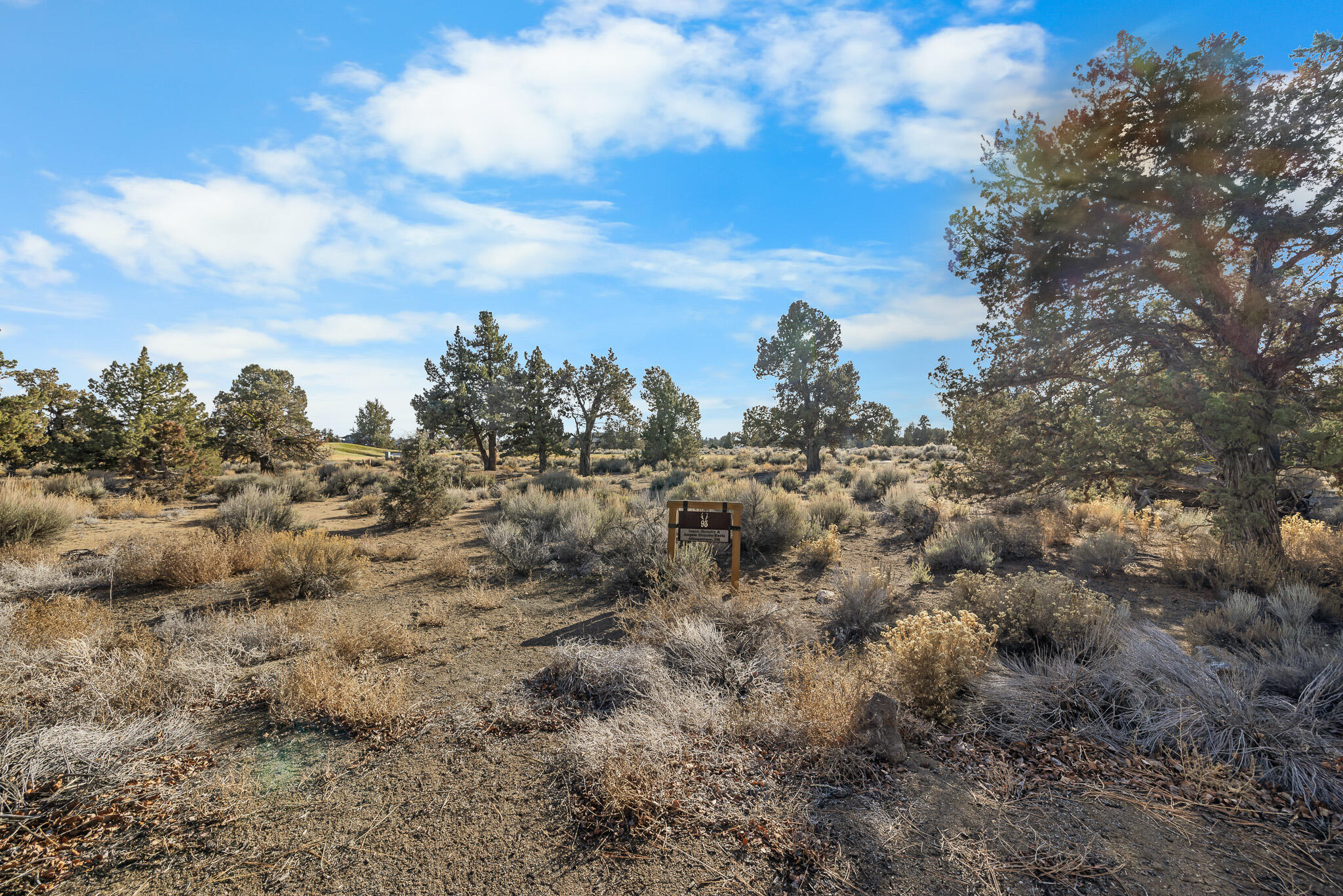 23123 Switchback Court #93