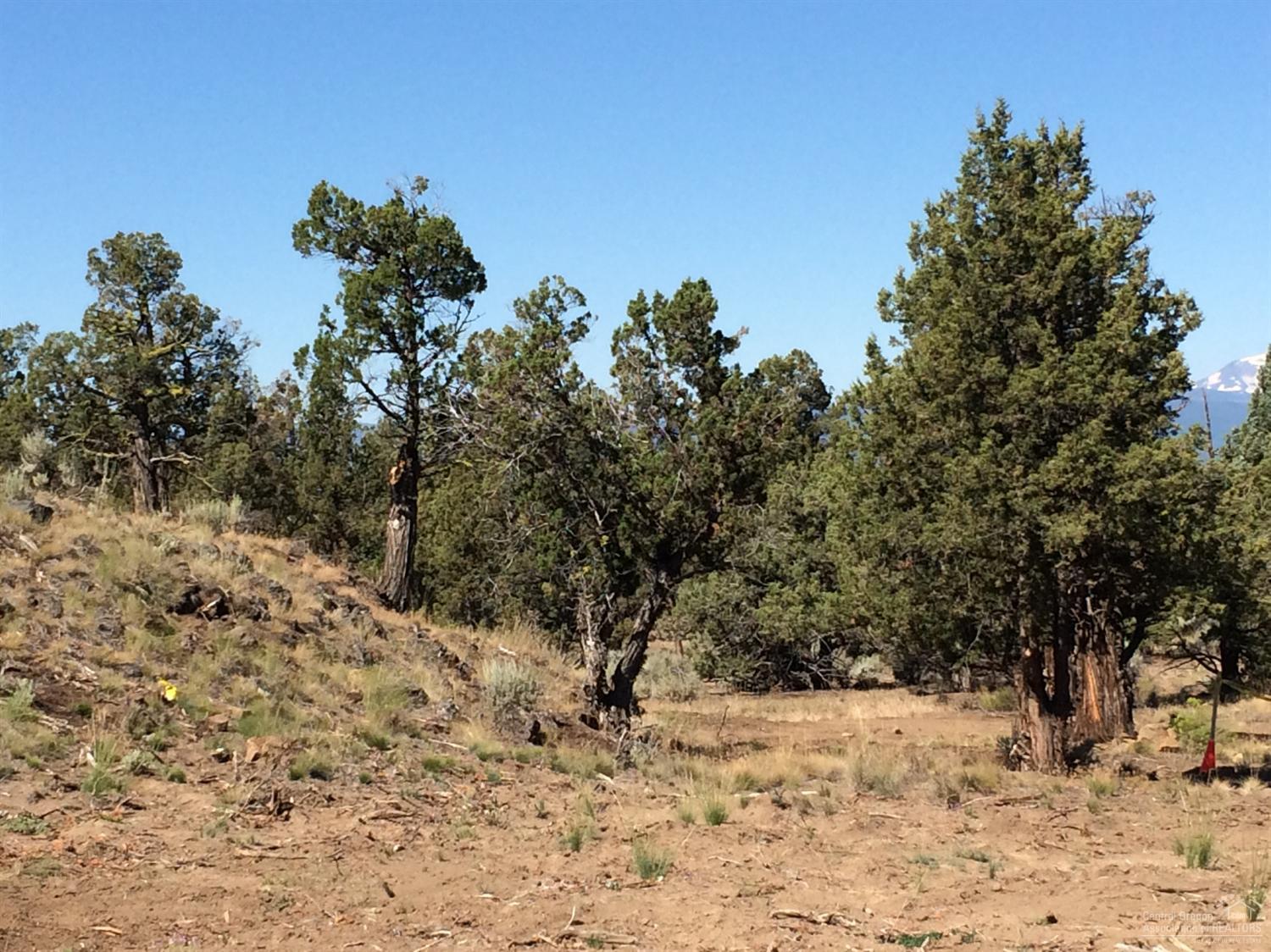 Boonesborough - Land