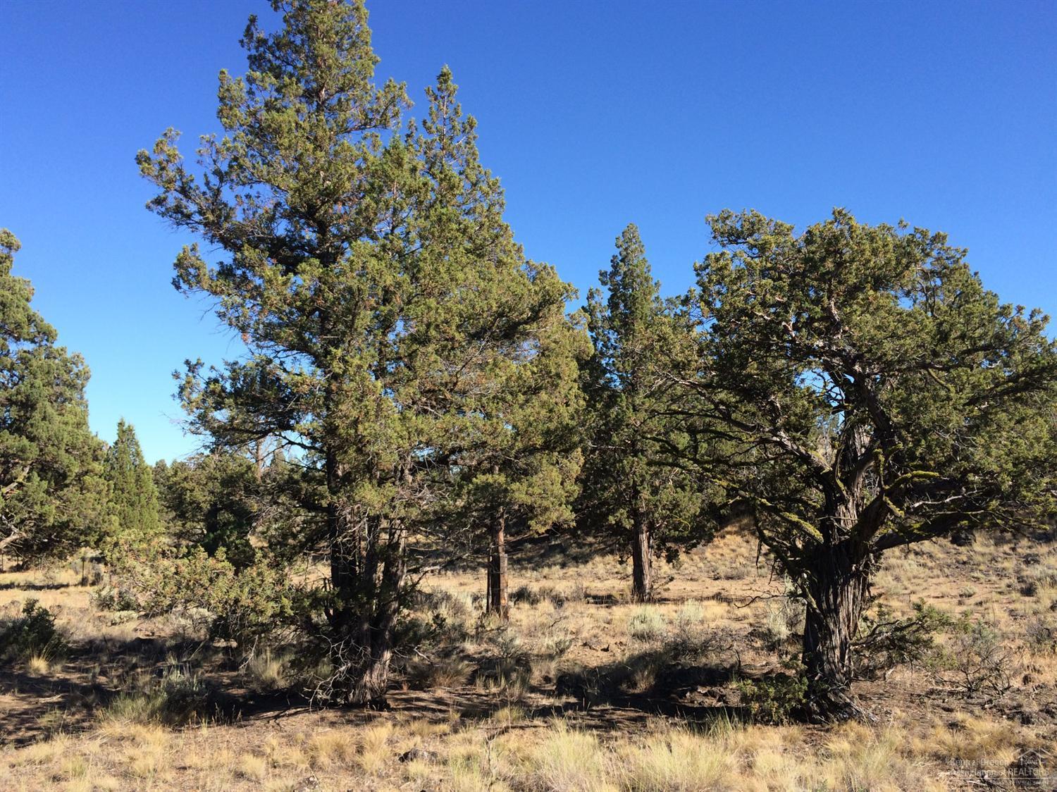 Boonesborough - Land